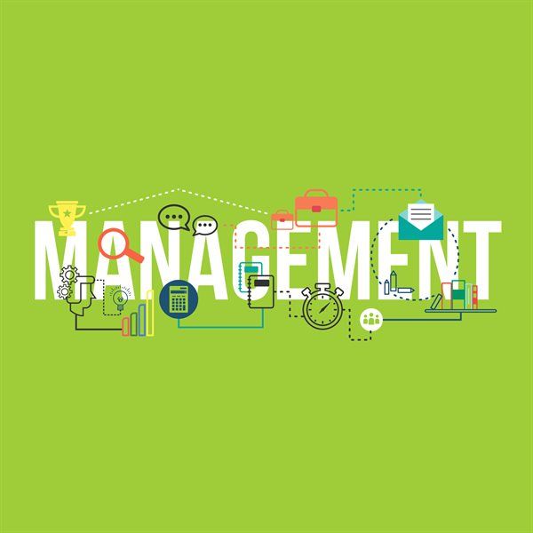 Odoo • Image and Text