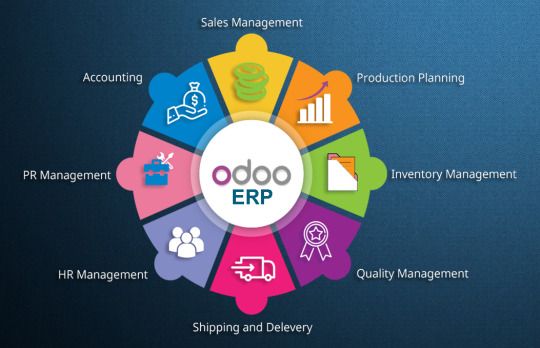 Odoo • Text and Image