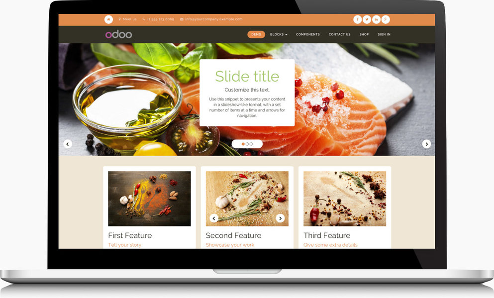 Odoo • Image and Text