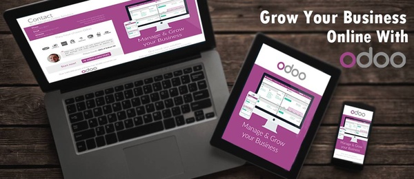 Odoo • Image and Text