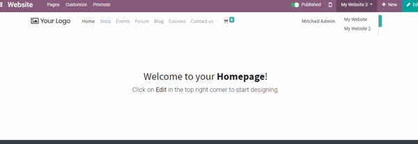Odoo • Text and Image