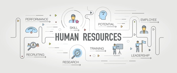 Odoo • Image and Text