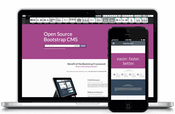 Odoo • Image and Text