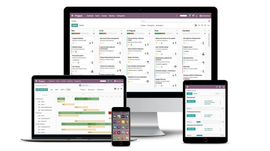 Odoo • Image and Text